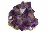 Deep Purple Amethyst Crystal Cluster - Congo #148705-1